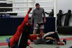 IMG_2285  